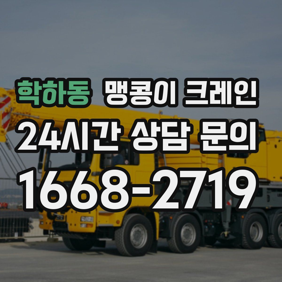 학하동 맹콩이 크레인