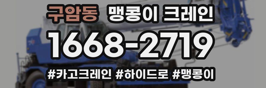 구암동 맹콩이 크레인