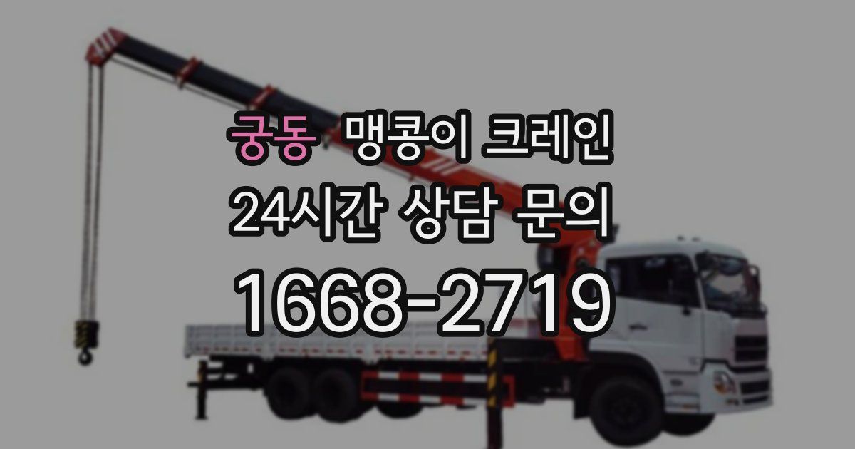 궁동 맹콩이 크레인
