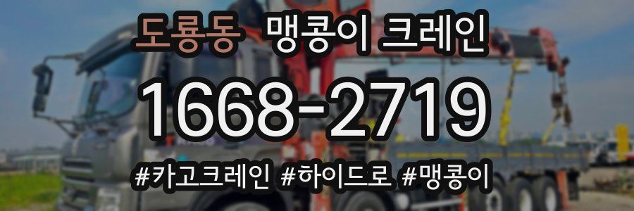 도룡동 맹콩이 크레인