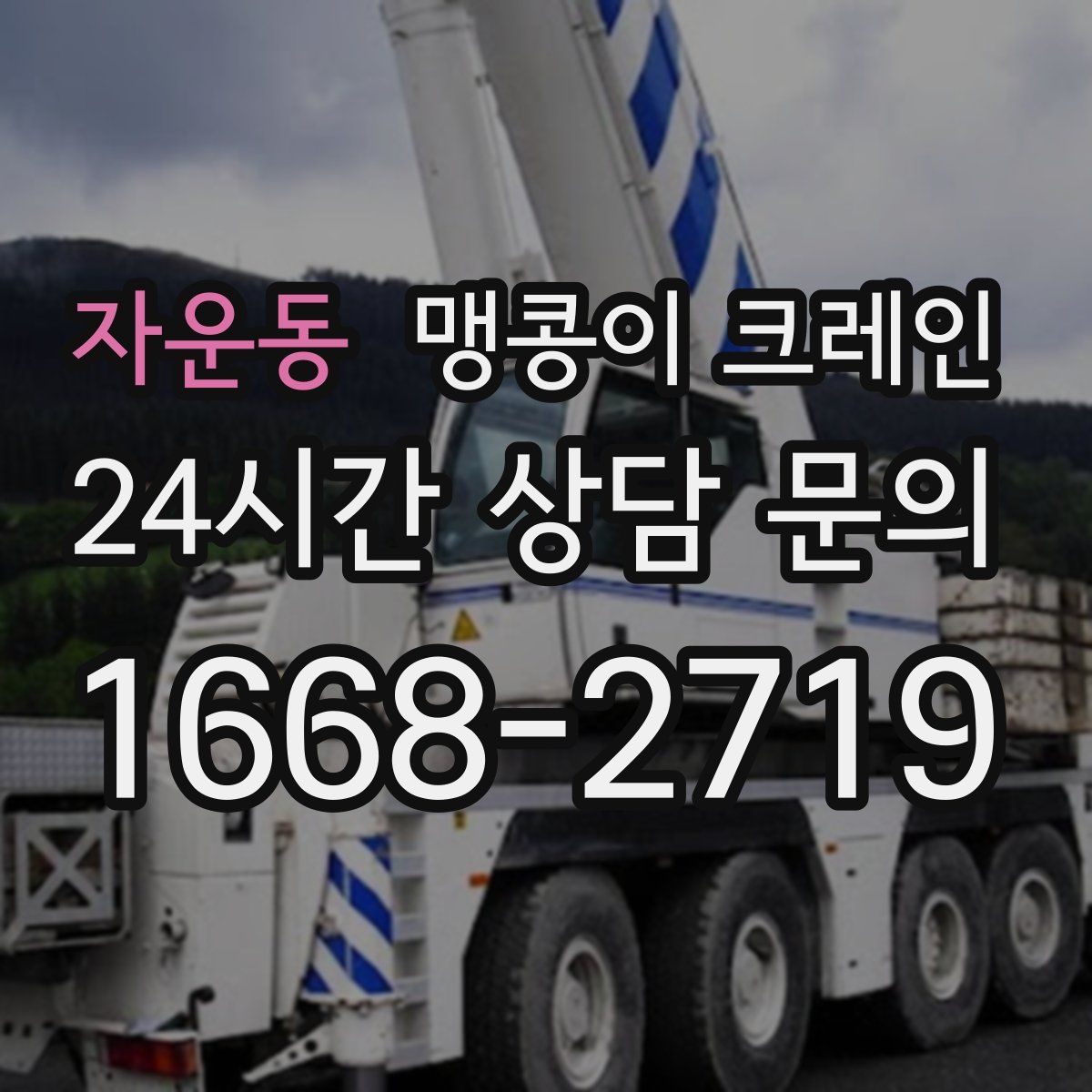 자운동 맹콩이 크레인
