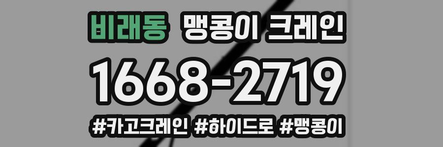 비래동 맹콩이 크레인