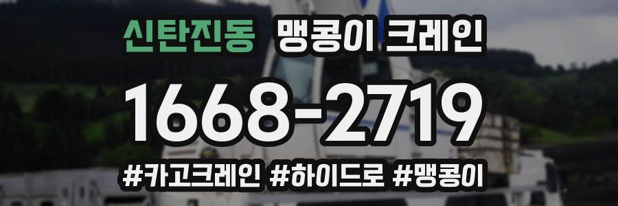 신탄진동 맹콩이 크레인