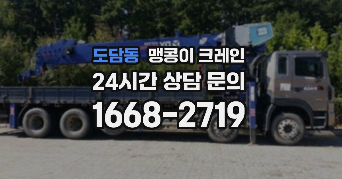 도담동 맹콩이 크레인