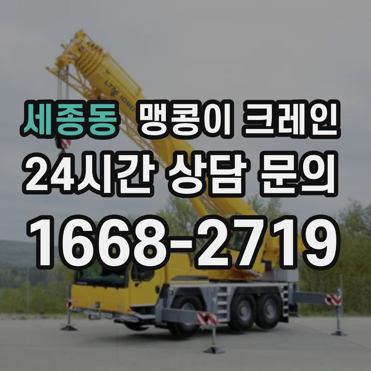세종동 맹콩이 크레인