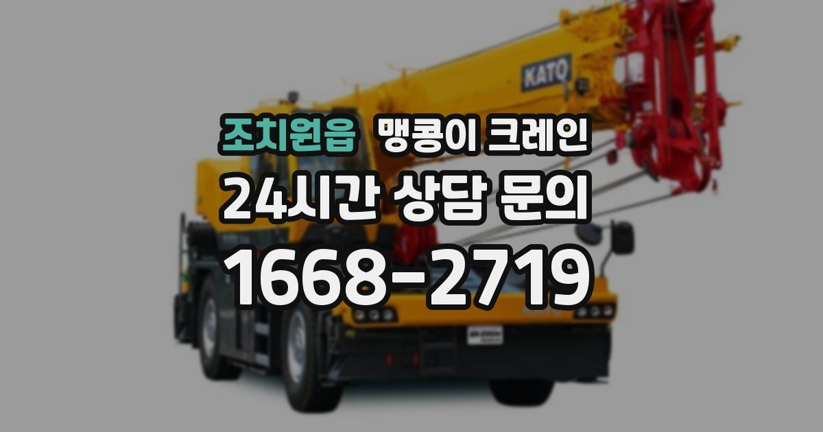 조치원읍 맹콩이 크레인