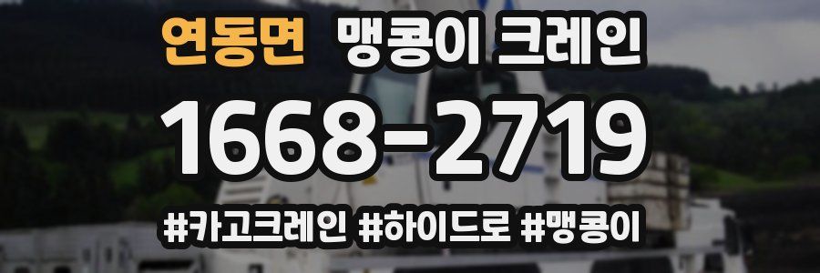 연동면 맹콩이 크레인