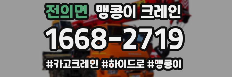 전의면 맹콩이 크레인