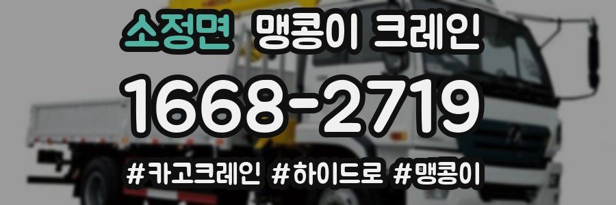 소정면 맹콩이 크레인