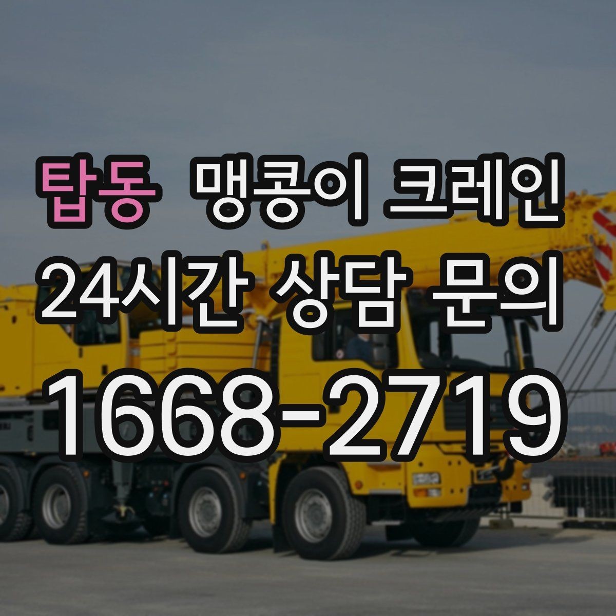 탑동 맹콩이 크레인 라인 증설 장비 반입에 필요한 준비