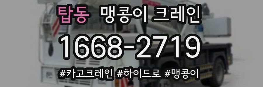 탑동 맹콩이 크레인