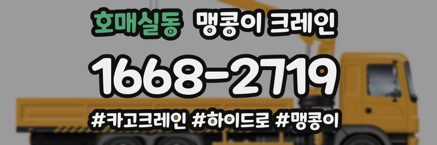 호매실동 맹콩이 크레인