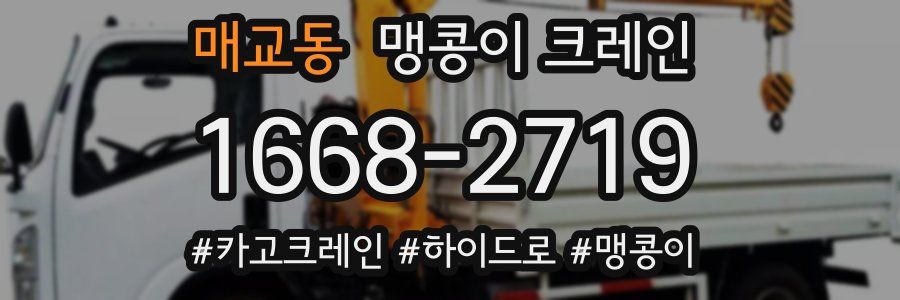 매교동 맹콩이 크레인