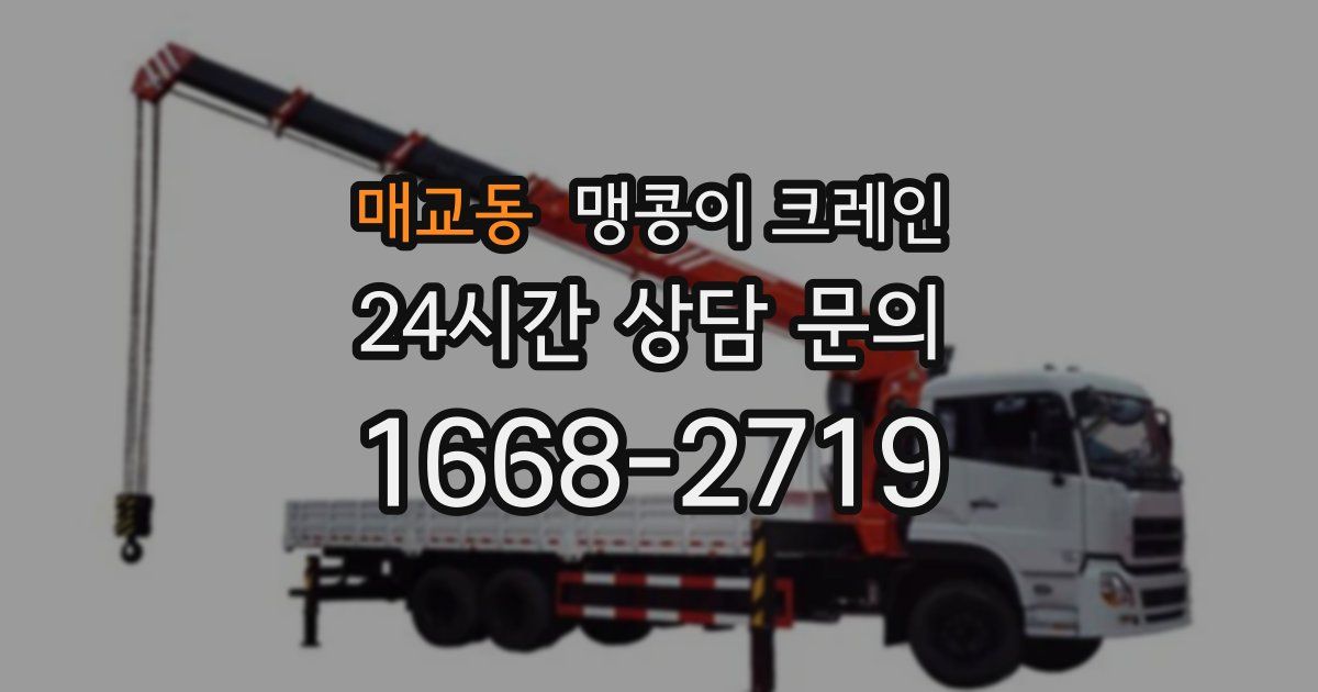 매교동 맹콩이 크레인