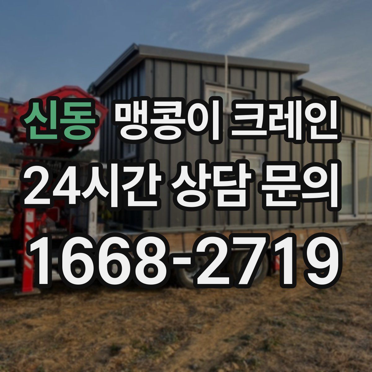 신동 맹콩이 크레인