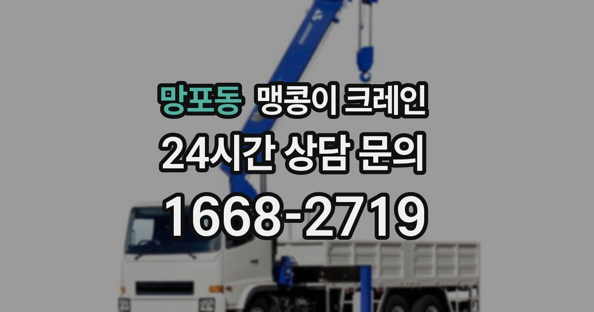 망포동 맹콩이 크레인