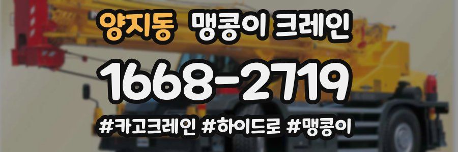 양지동 맹콩이 크레인