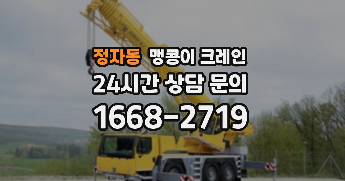 정자동 맹콩이 크레인