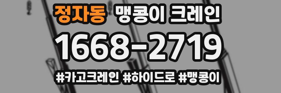 정자동 맹콩이 크레인