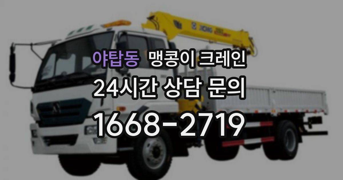 야탑동 맹콩이 크레인