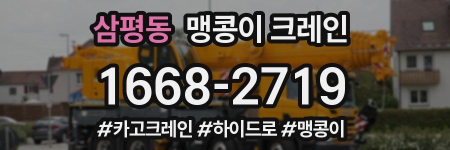 삼평동 맹콩이 크레인