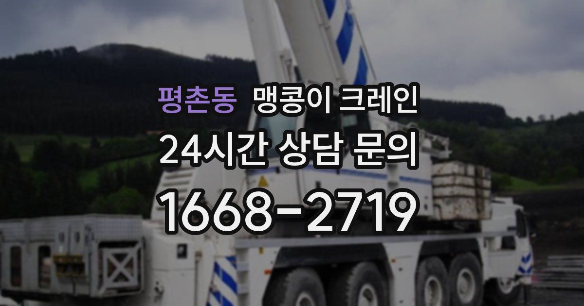 평촌동 맹콩이 크레인