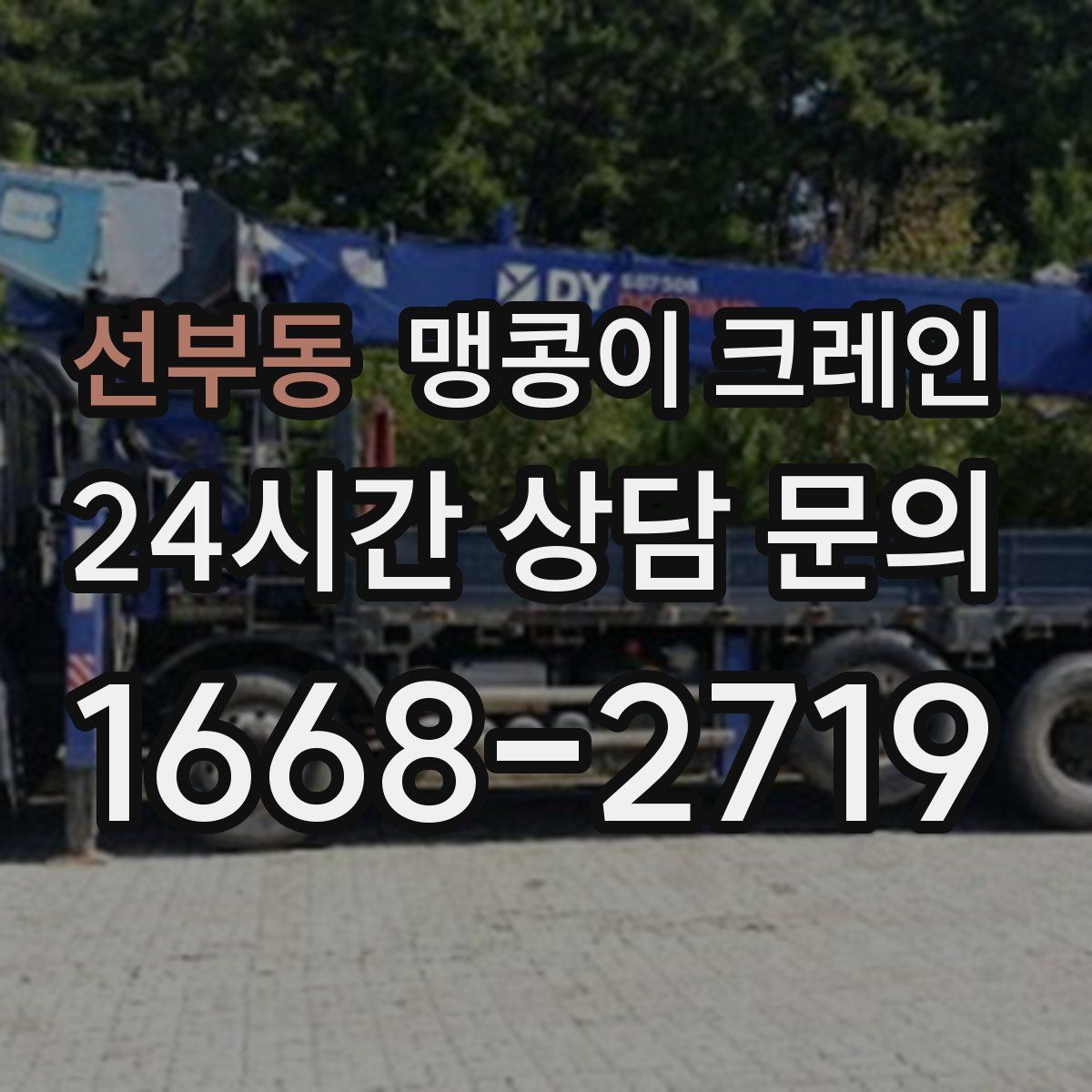 선부동 맹콩이 크레인