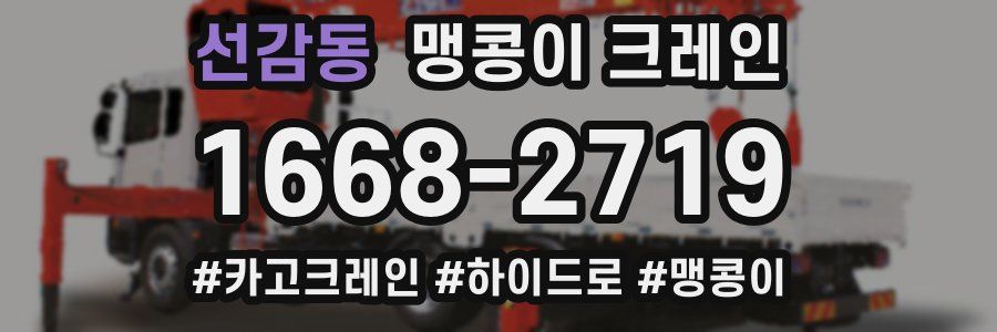 선감동 맹콩이 크레인