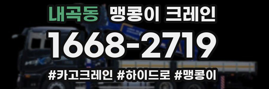 내곡동 맹콩이 크레인