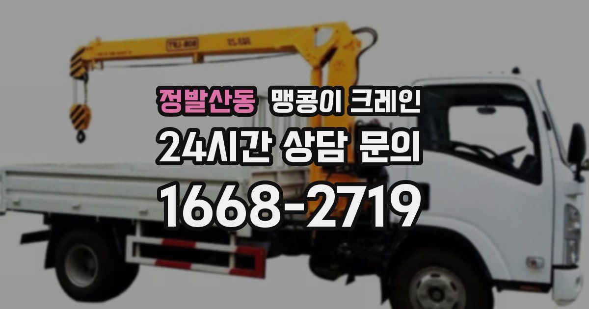 정발산동 맹콩이 크레인