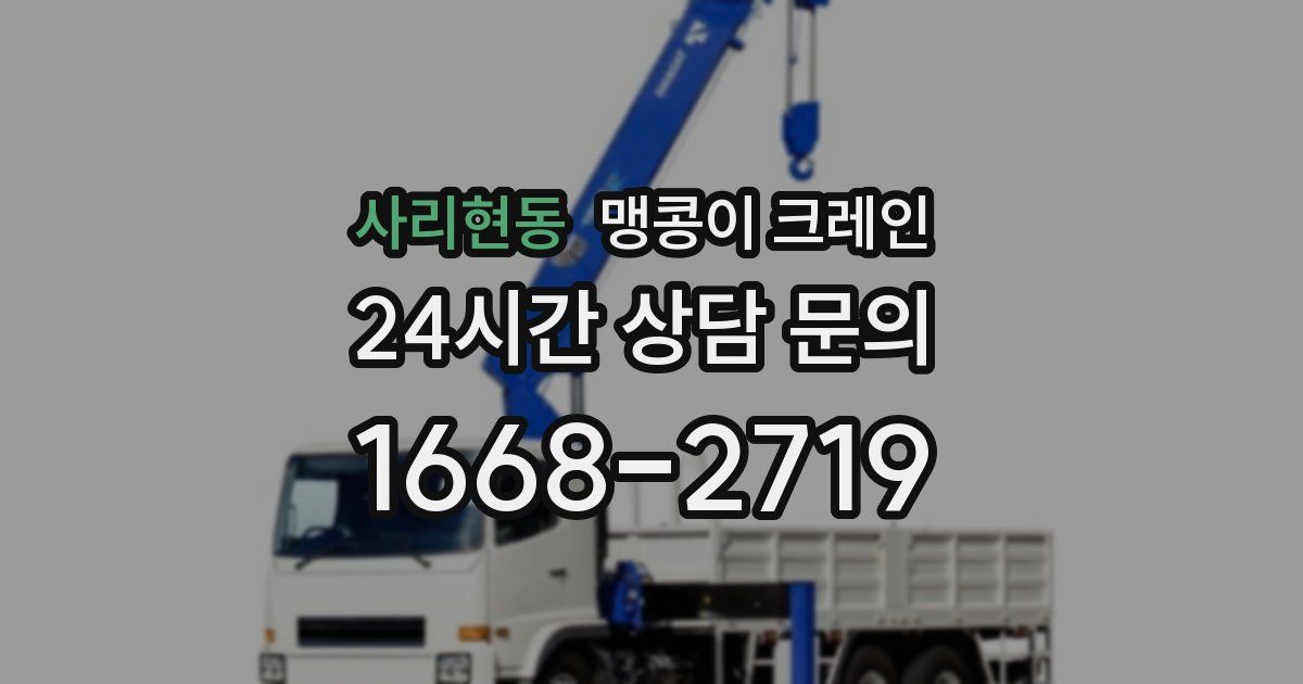 사리현동 맹콩이 크레인