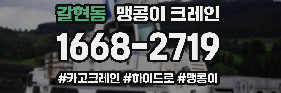 갈현동 맹콩이 크레인