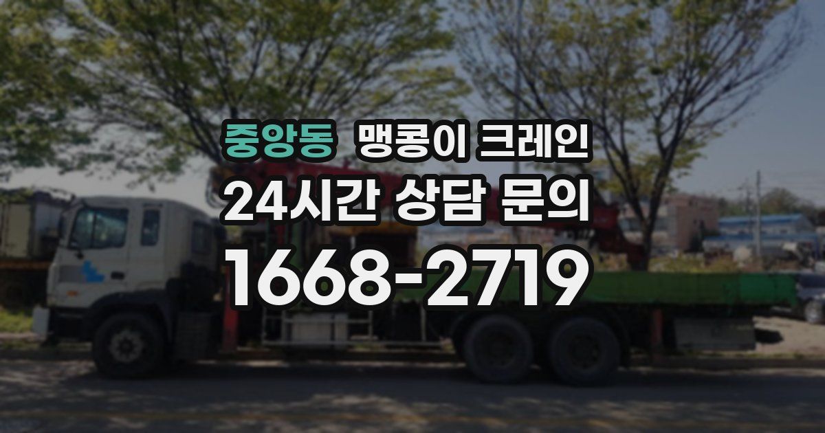 중앙동 맹콩이 크레인