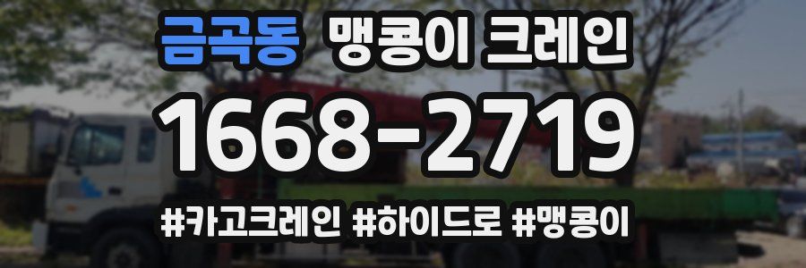 금곡동 맹콩이 크레인