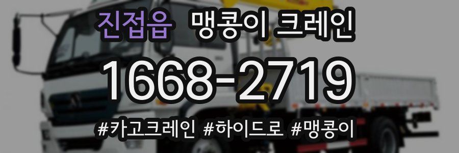 진접읍 맹콩이 크레인