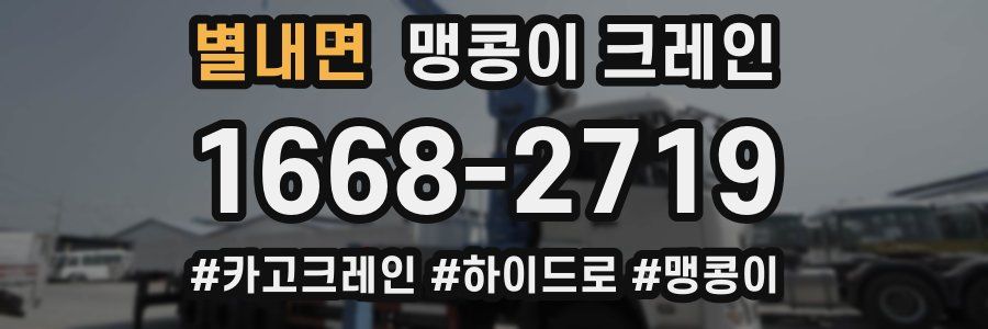 별내면 맹콩이 크레인