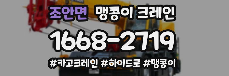조안면 맹콩이 크레인