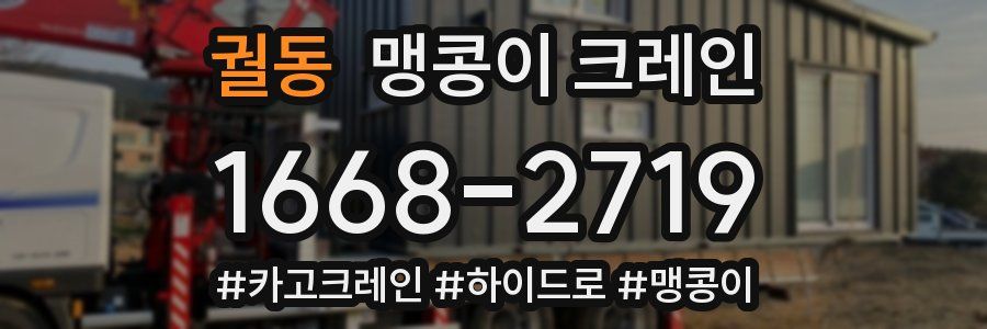 궐동 맹콩이 크레인
