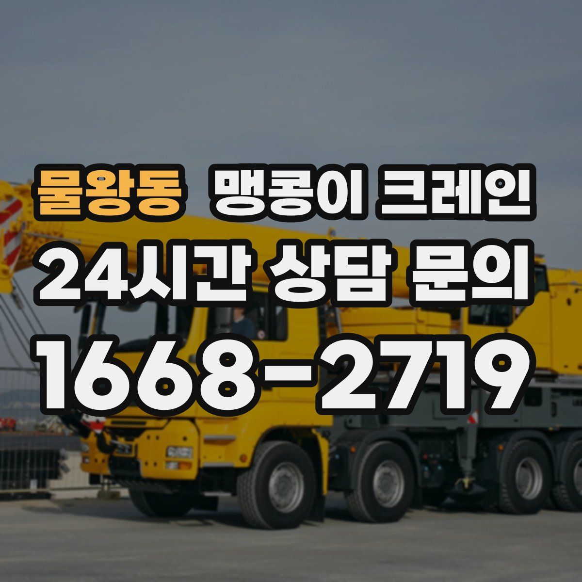 물왕동 맹콩이 크레인