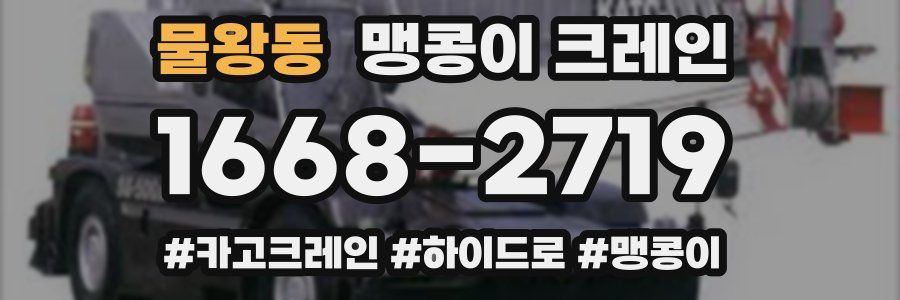 물왕동 맹콩이 크레인