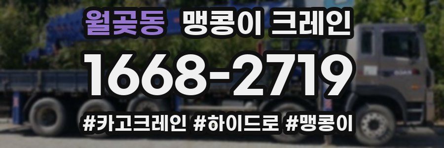 월곶동 맹콩이 크레인