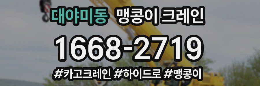 대야미동 맹콩이 크레인