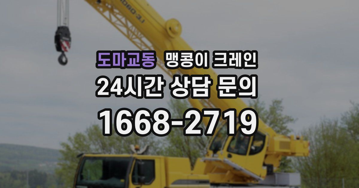 도마교동 맹콩이 크레인