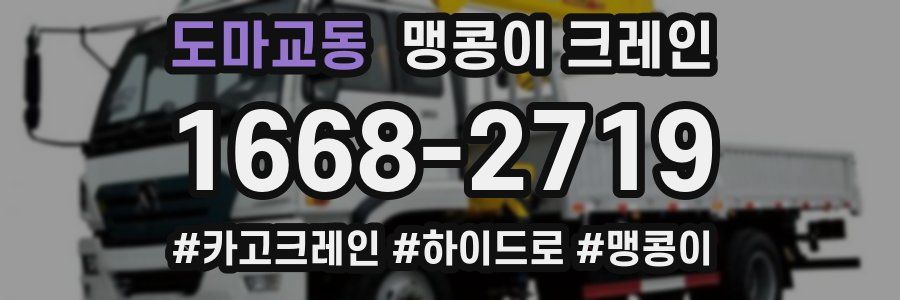 도마교동 맹콩이 크레인