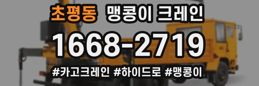 초평동 맹콩이 크레인