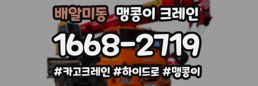 배알미동 맹콩이 크레인