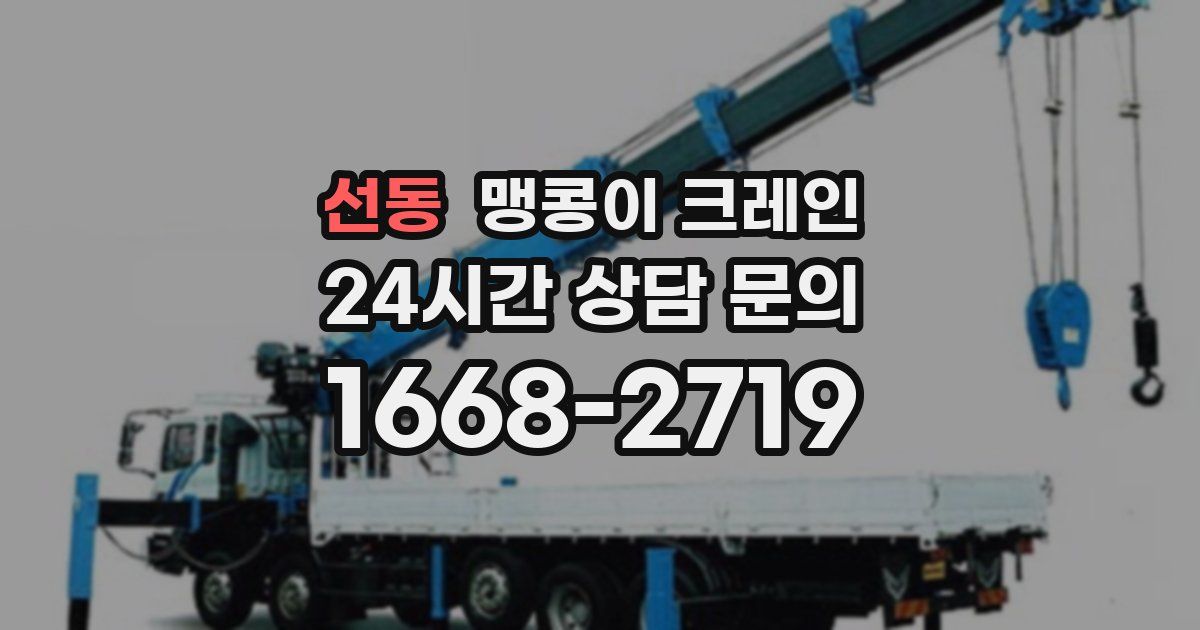 선동 맹콩이 크레인