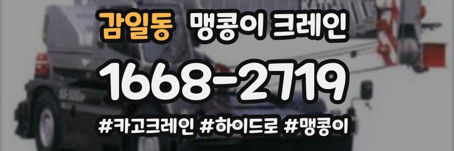 감일동 맹콩이 크레인