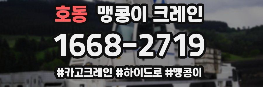 호동 맹콩이 크레인