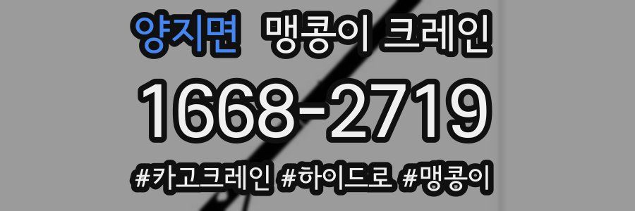 양지면 맹콩이 크레인